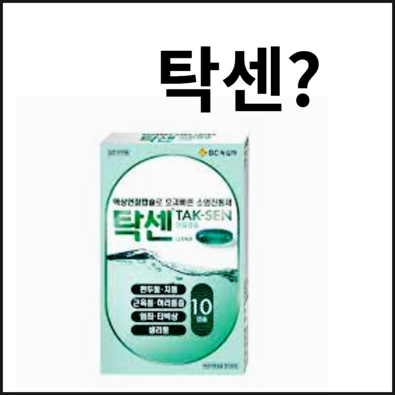 탁센 이브 레이디 생리통 400 소염진통제 효능 복용법 정리 : 네이버 블로그
