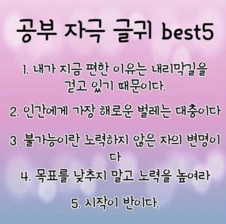  #9일차 천일 감사 일기