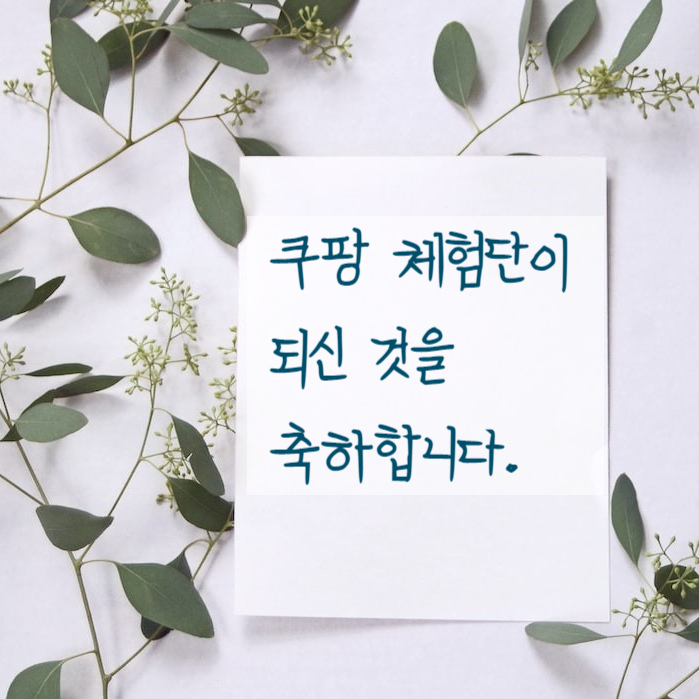  쿠팡체험단 선정 팁 꾸준히 하면 고가도 가능해요
