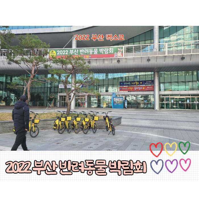  2022 부산 첫 반려동물 박람회 눈이 번쩍!