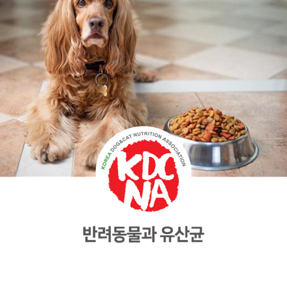 반려동물 유산균과 선택 방법 [한국반려동물영양협회/최수연펫푸드아카데미/펫푸드학원/수원/과천/화성_1055]