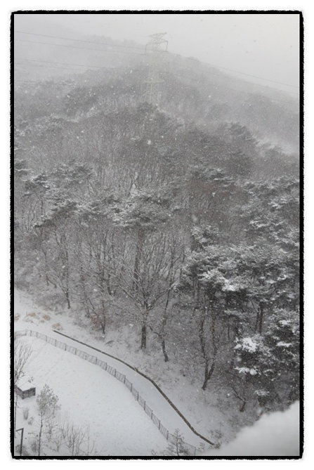  2022.12.15 Daily record - #당구 #비껴 세워치기 #7볼 시스템      #기울기 #두께 #당점 #스트로크 #비껴치기