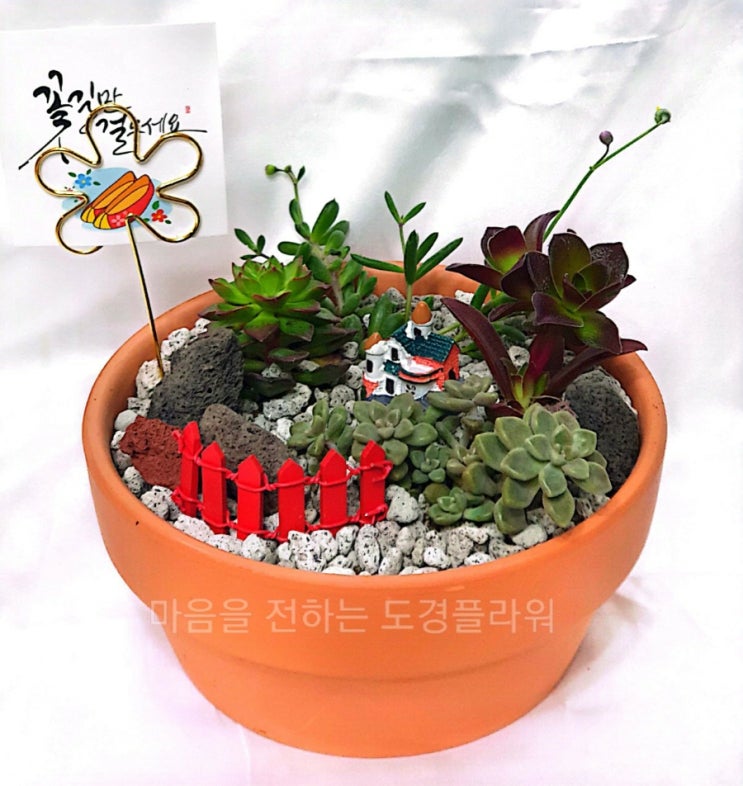 전주 덕진 보건소 원예치료  반려 식물 심기 다육이 수업 다녀왔어요^.~