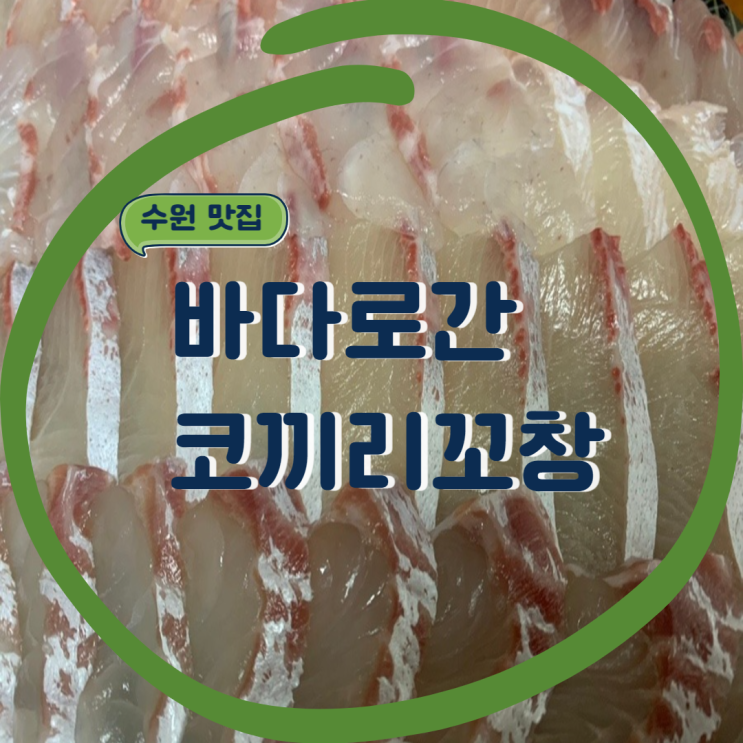 수원 맛집 베스트10. 바다로간코끼리꼬창 하루30팀 한정 웨이팅 필수