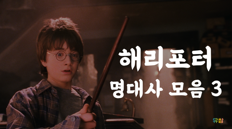  해리포터 명대사 모음 3 - 사랑하는 사람과는 이별이 없어 늘 가슴속에 살아있지
