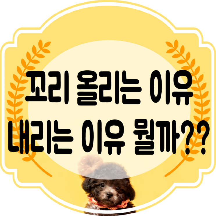  강아지 꼬리 내림 , 올림 ~ 방향에 따라 의미가 다르다??
