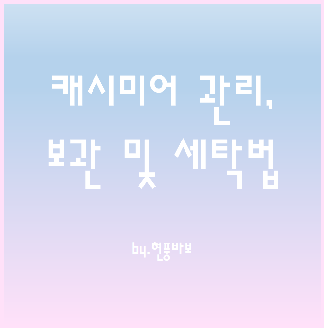 캐시미어 관리, 보관 및 세탁방법