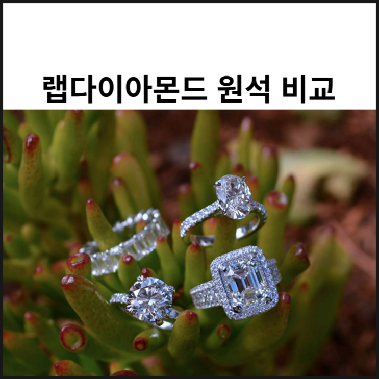  랩다이아몬드 원석 비교 캐럿 등급 당신의 선택은