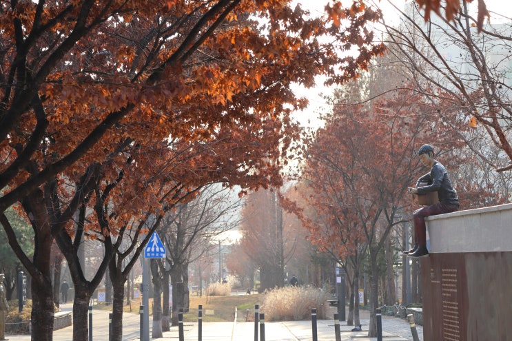  서울 마포구 가볼만한곳 경의선 숲길 연남동&와우교 구간