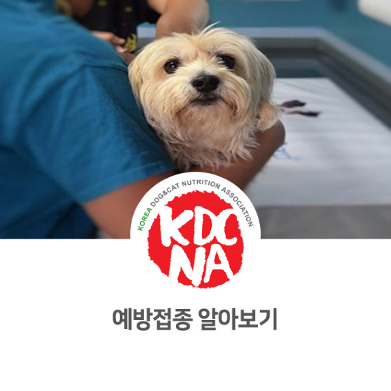 강아지 예방접종에 대해서 알아보자 [권수진반려동물영양전문가/한국반려동물영양협회/댕밀헌/청주/충주/대전_1053]