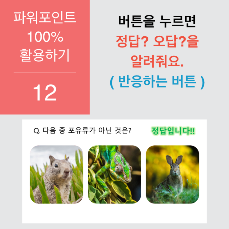 파워포인트 100% 활용 12. 정답과 오답을 알려주는 반응형 버튼 만들기 파워포인트 100% 활용 12. 정답과 오답을 알려주는 반응형 버튼 만들기