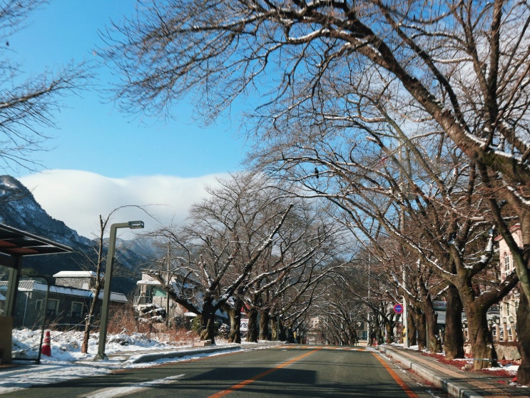  계룡산 겨울 등산 : 국립공원공단에서 실시간영상, 탐방통제정보 확인