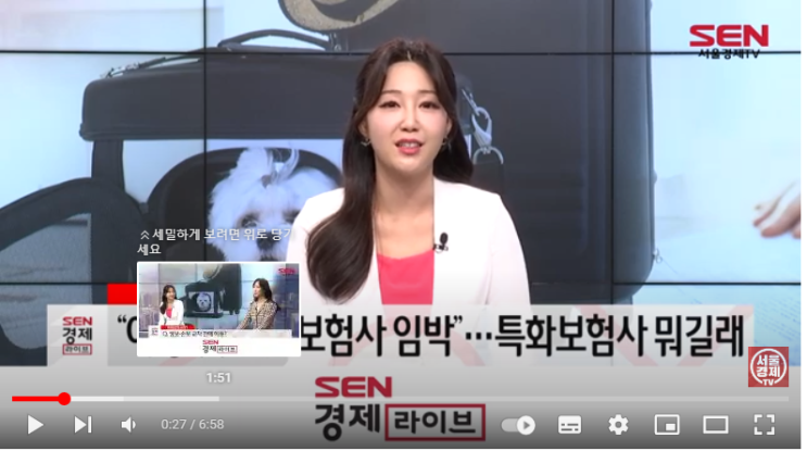 “여행·펫 전문보험사 임박”…특화보험사 뭐길래 “여행·펫 전문보험사 임박”…특화보험사 뭐길래