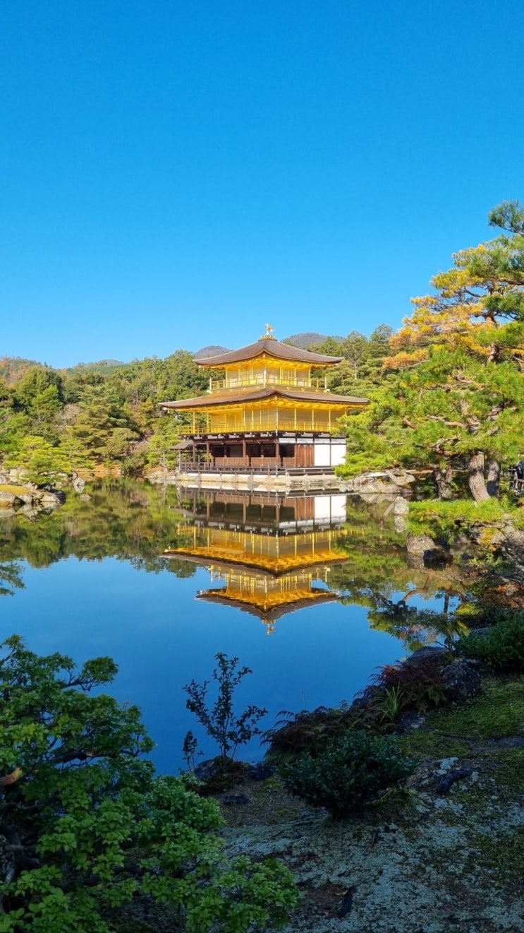 부모님 효도르 교토/도쿄 일본 여행 에필로그 (후기 일정 예산 총정리)