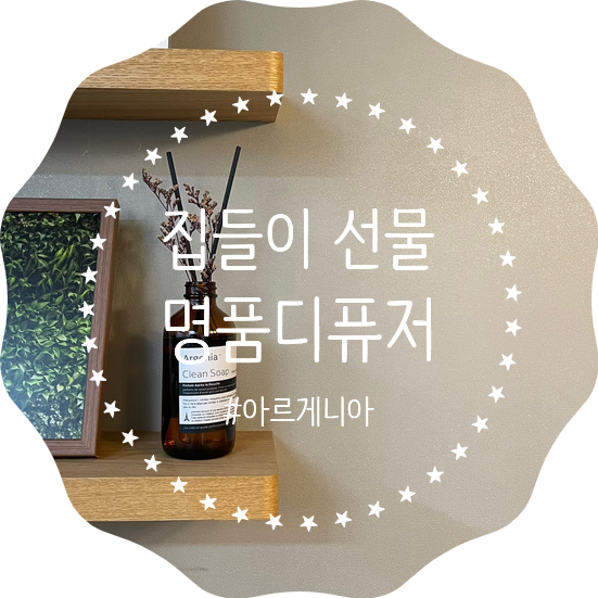  에르게니아 디퓨저 클린솝 향 친구집들이선물로 좋아요