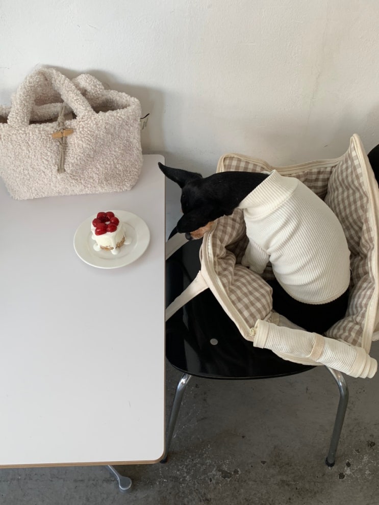 [럭키랑 수원] 귀여운 컵과 디저트가 있는 행궁동 애견동반 카페 - 알커피(ARECOFFEE)