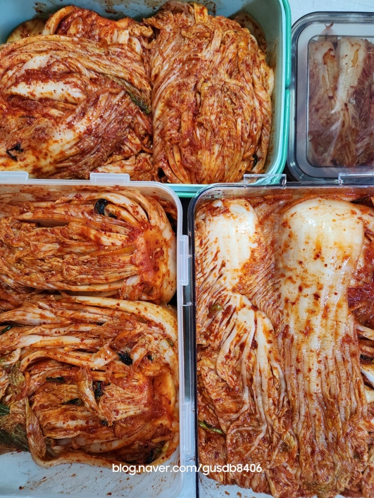 김장김치 20Kg 석박이 김치 담기 김장김치양념! 김장김치 20Kg 석박이 김치 담기 김장김치양념!