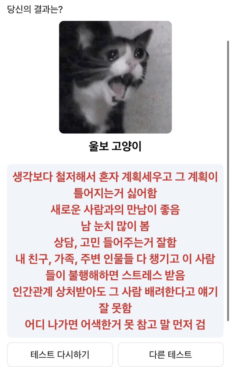  심리테스트 동물짱 성격 테스트 동물테스트 울보고양이(링크있음)