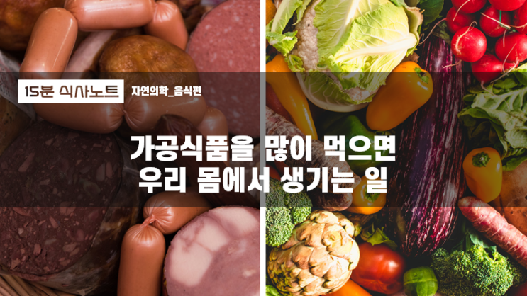  가공식품과 건강 - 초가공식품을 많이 먹으면 우리 몸에 생기는 일 _ 미니 강의 후기
