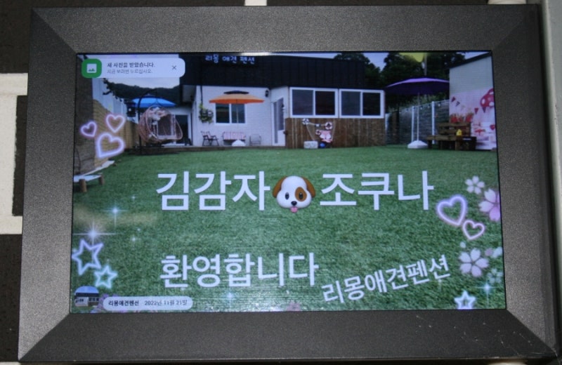 사진 3