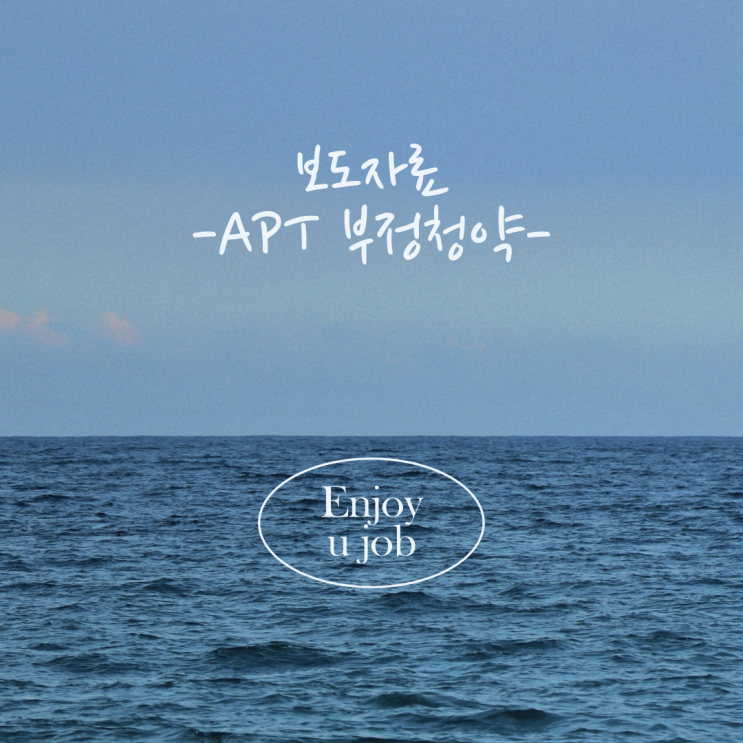 주택 부정청약 점검 결과 보도자료 주택 부정청약 점검 결과 보도자료