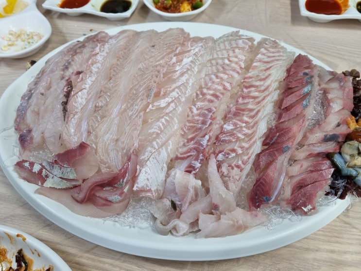  속초 중앙시장 설악횟집 :: 맛도 가성비도 최강이었던 횟집