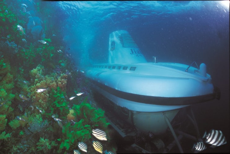  Seogwipo Submarine in Jeju Island
