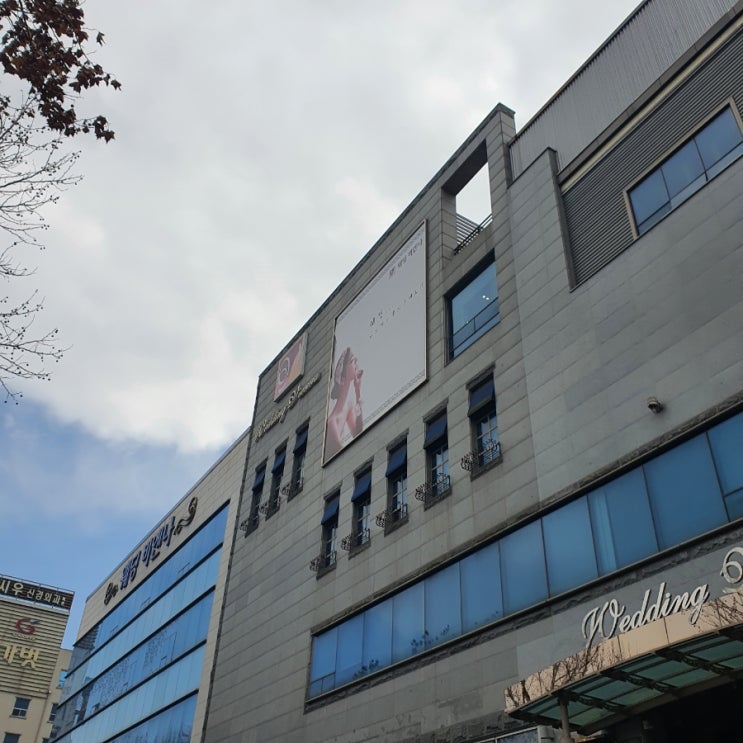  대구 웨딩비엔나 하객 후기: 고전적이고 정겨운 느낌, 음식 무난 교통편리/웨딩비엔나 예식장 리뷰