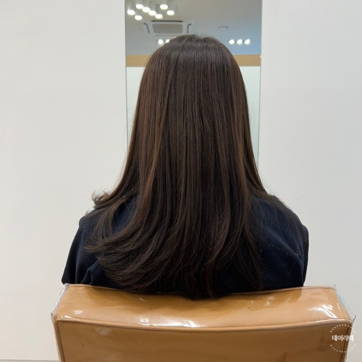  [가양동 미용실] 청담헤어 가양역점 마이부클리닉 후기