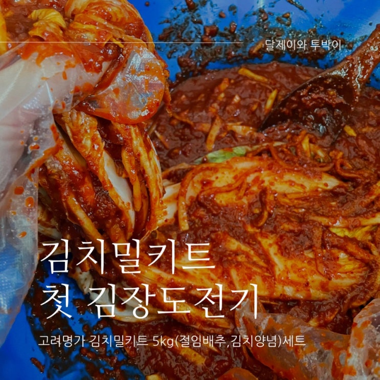  김장밀키트로 첫 김장 도전..과연 성공할 것인가? : 고려명가 김치밀키트로 김장하기