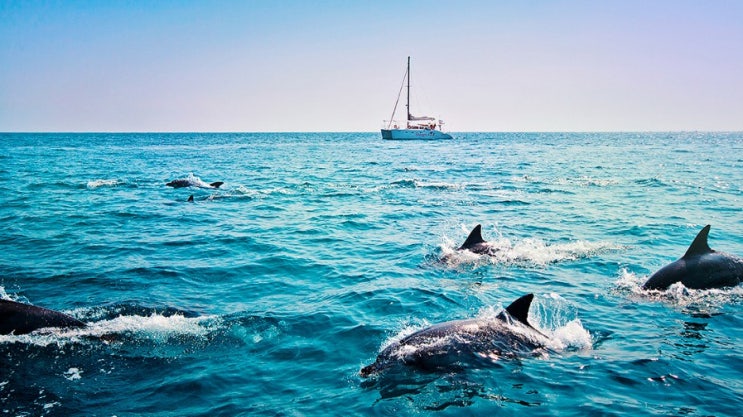  Yacht Tour Shangri-La in Jeju Island