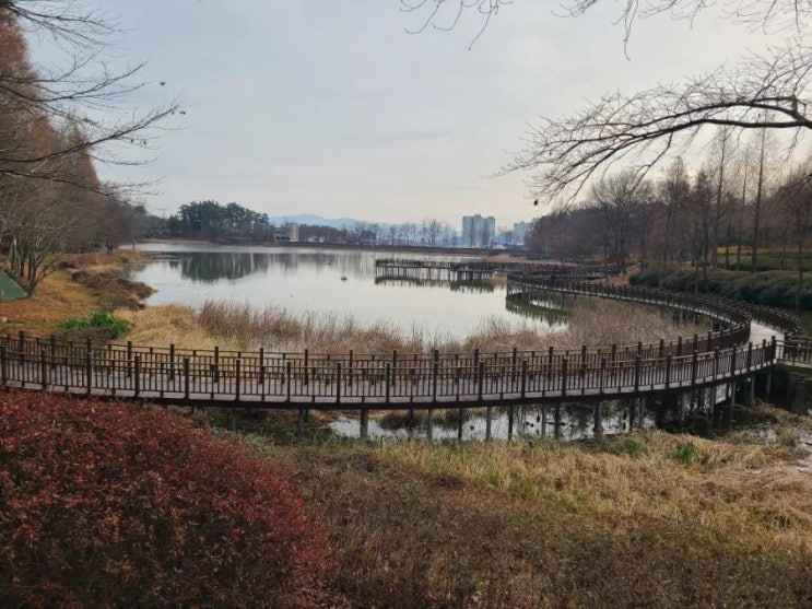김제 가볼 만한 곳, 김제 시민문화 체육공원 풍경(12월 16일)