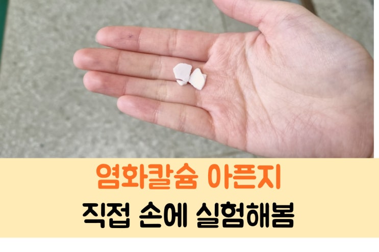  염화칼슘 강아지 진짜 아픈지 실험해봤어요