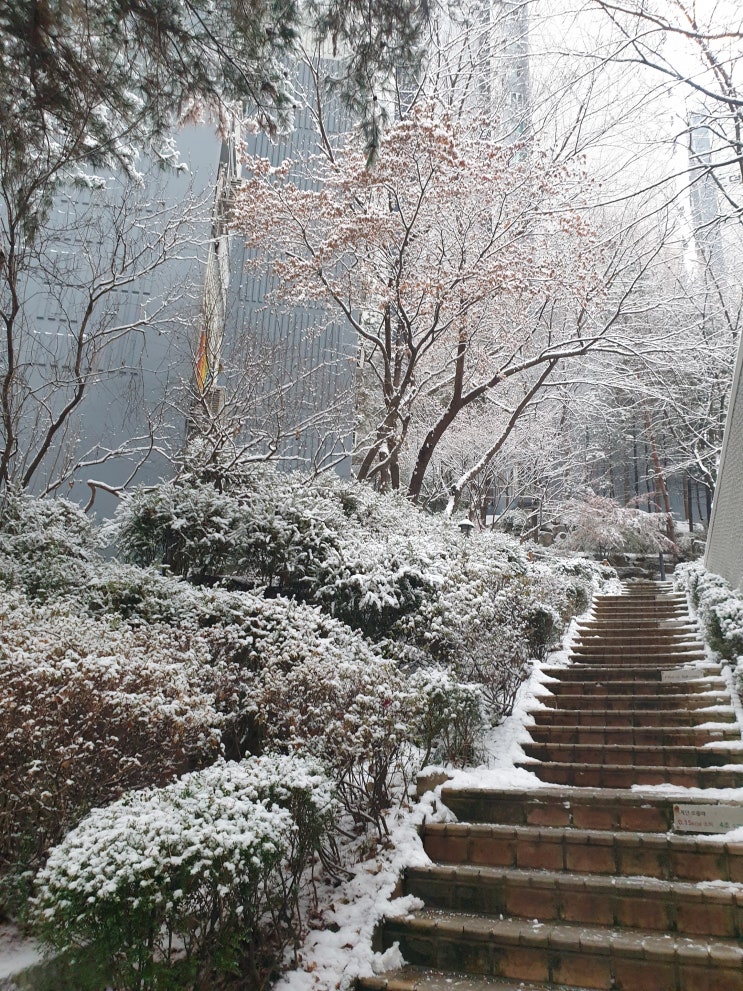  (22.12.15) 퇴사, 이직을 준비하자