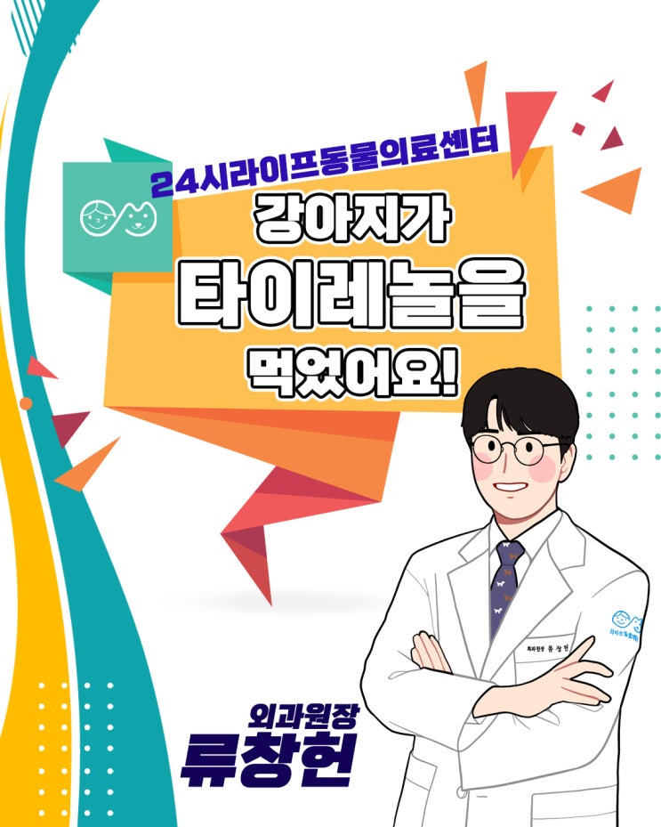 대구24시동물병원 강아지 응급진료 : 강아지가 타이레놀을 먹었어요 대구24시동물병원 강아지 응급진료 : 강아지가 타이레놀을 먹었어요