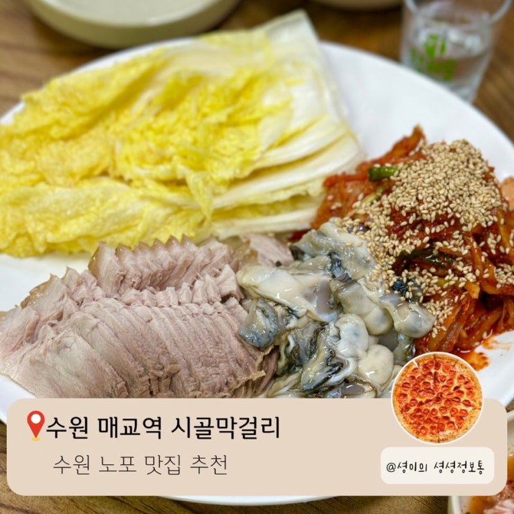  수원 노포 맛집 추천 매교 시골막걸리 생방송투데이 수원 간판없는 식당 굴보쌈 맛집