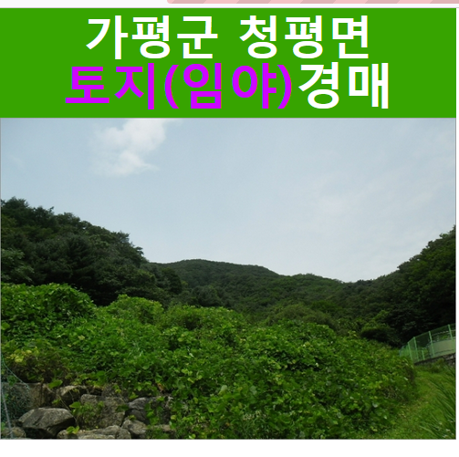 차너머골 사진 1