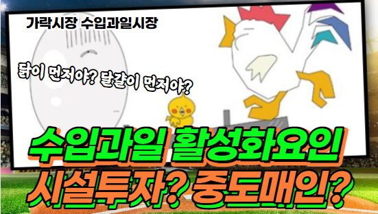  [알쓸신잡-가락시장] 상인 많아야 하느냐? 좋은 시설이 있느냐? 수입과일 활성화 그것이 문제로다!