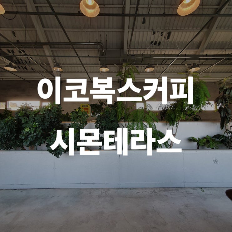  이코복스 커피 시몬스테라스 이천점
