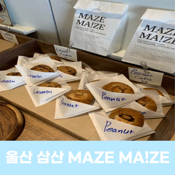 울산 메이즈메이즈에서 인스타 감성과 힐링까지 선물 받기
