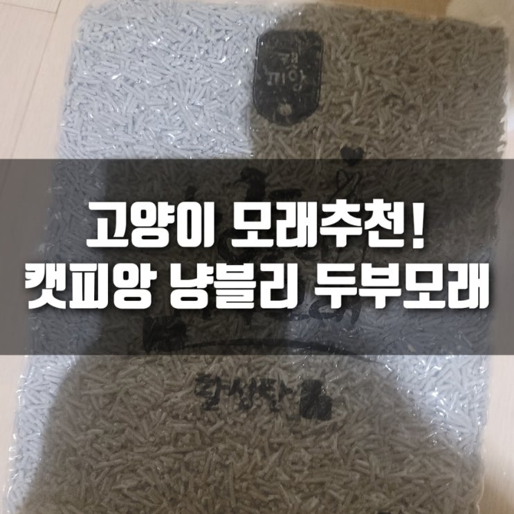 고양이모래추천! 캣피앙 냥블리 두부모래 고양이모래추천! 캣피앙 냥블리 두부모래