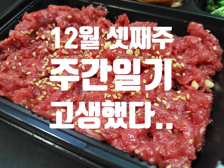  12월 셋째 주 주간 일기 끝날 때까지 끝난 게 아닌 챌린지