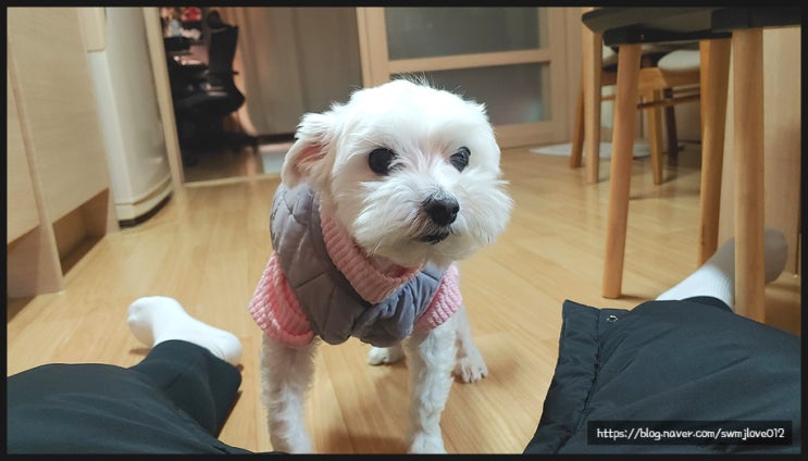  27주 차 주간일기
