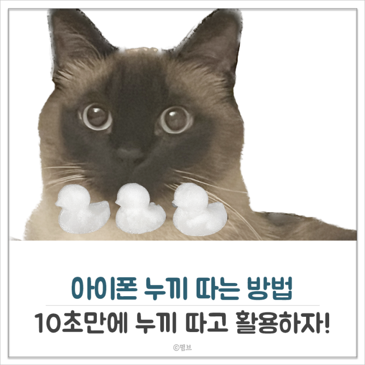  아이폰 사진 누끼 따는 방법과 활용