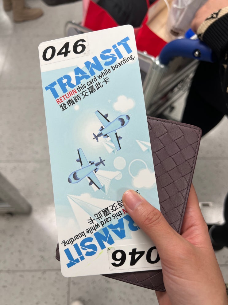 인천-싱가포르 스쿠트항공 대만환승방법, 잠실브런치 리틀넥