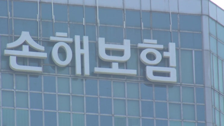 보험료 조정 임박...車보험 최대 2%대↓·실손 9%대↑ 보험료 조정 임박...車보험 최대 2%대↓·실손 9%대↑
