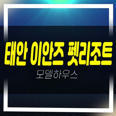  태안 이안즈 펫리조트 100%선임대 특급 펫리조트 천리포해수욕장 호텔 레지던스 생숙 대형 반려견 특화단지 홍보관 위치 잔여호실안내