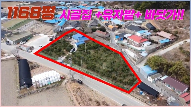  전남 과수원매매 1천평이 넘는곳에 집도 같이 드릴께요