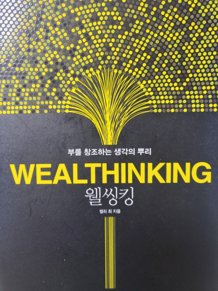  웰씽킹 부를 창조하는 생각의 뿌리 켈리최