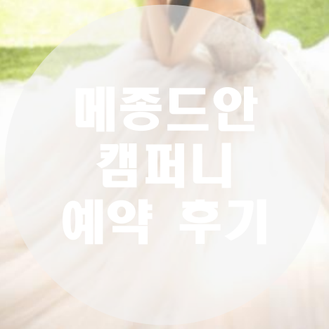 [결혼 준비] 웨딩 사진 업체 비교, 메종드안 컴퍼니 예약 후기
